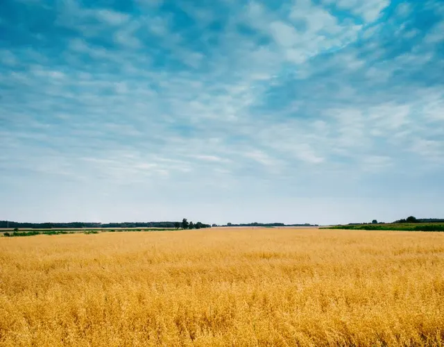 Agriculture industry